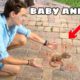 RESCUED ! BABY ANIMAL FELL FROM TREE ! WHAT NOW ?!