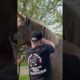 RESCUED PLOW HORSE LOVES HER ATLAS ADJUSTMENT 🐴 Animal Chiropractor
