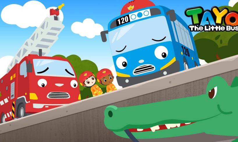 The Alligators Are Gone | Tayo Animal Rescue Team | Rescue Team Episodes | Tayo the Little Bus