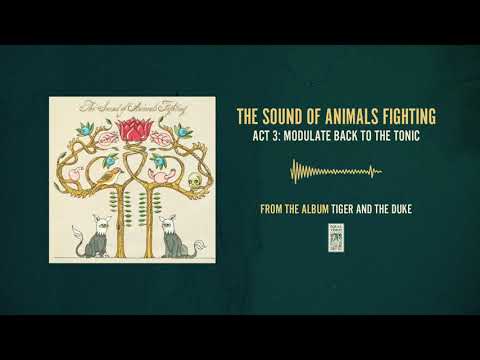 The Sound of Animals Fighting "Act 3: Modulate Back To The Tonic"