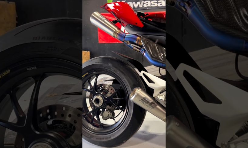 The pure sound of #scproject S1 GP exhaust🔊🔥| DUCATI Panigale V4S (ft.mute618racing) #shorts