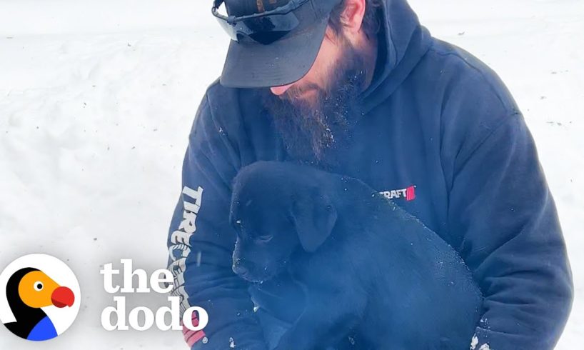 Truck Driver Rescues Puppy Covered In Ice | The Dodo