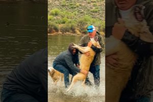 Viral video captured while visiting Arizona - Man saves his dog