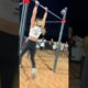 Woman Performs Impressive Flips On Horizontal Bar | People Are Awesome #shorts