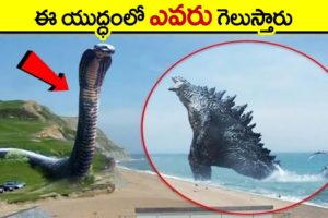 🔵 godzilla vs titanoboa in telugu | Who Would Win A Fight | interesting animal fights in telugu