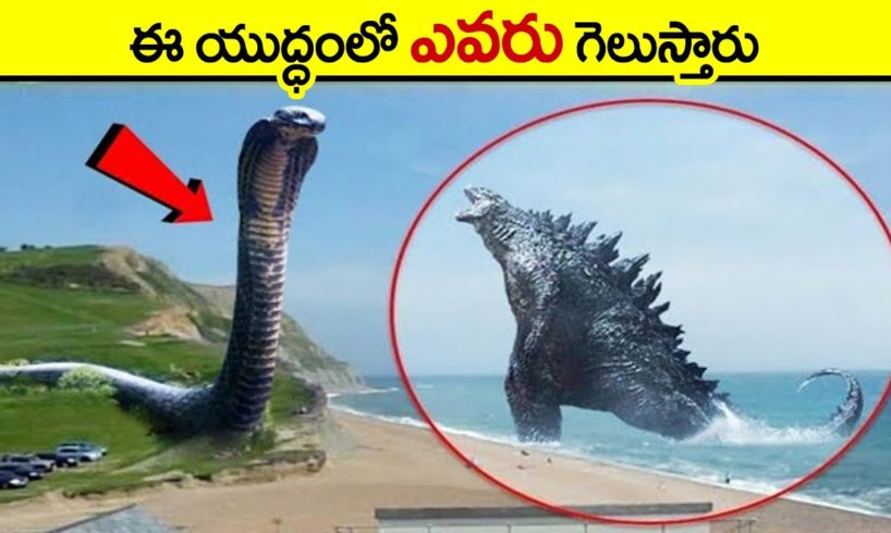 🔵 godzilla vs titanoboa in telugu | Who Would Win A Fight | interesting animal fights in telugu