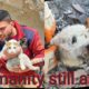 humanity still alive | turkey syria earthquake | animal rescue videos