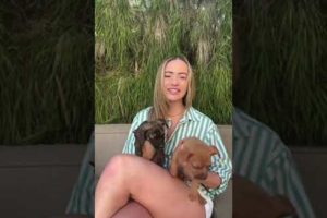 the cutest puppies ive ever seen