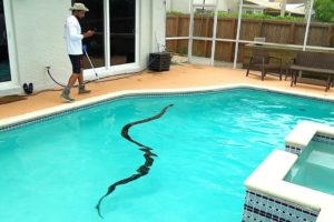 15 Foot MONSTER Stuck in POOL DRAIN!