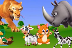 Animal Videos Funny | Animal Fight Videos | Wild Animals | Pet Animals #28