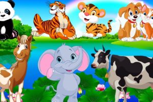 Animal Videos Funny | Animal Fight Videos | Wild Animals | Pet Animals #30