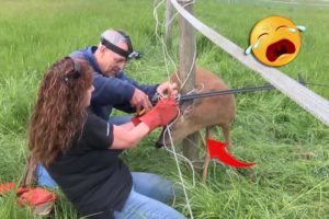 21 Animal Rescue Videos That They Asked People for Help Faith In Humanity Restored