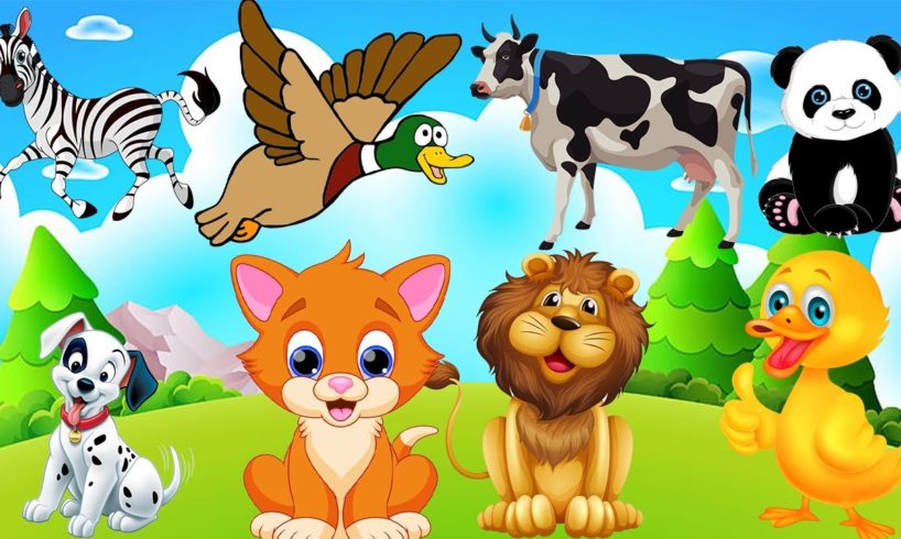 Animal Videos Funny | Animal Fight Videos | Wild Animals | Pet Animals #38