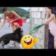 Random Funny Videos / Fails Of The Week / Instant Regret / Like A Boss 2023 Compilation #24