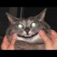 Funny animals - Funny cats / dogs - Funny animal videos / Best videos of April 2023