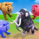 3 Zombie Lions vs Cow, Mammoth Elephant Animal Fight | Cow Run Away from Lions vs Woolly Mammoth