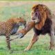 30 Scary Moments When Wild Animals Fought Brutally For Food and Territory | Animal Fight