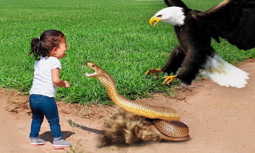 37 Hero Animals That Saved Human Lives !