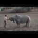 45 Animal Rescue Videos Touching Moments When Animals Asked People for Help #1
