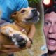 5 Heroic Animal Rescue Stories ❤️  Bondi Vet Compilations | Bondi Vet