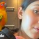 A este loro le encanta ducharse con su mamá | El Dodo