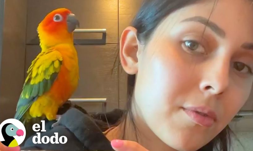 A este loro le encanta ducharse con su mamá | El Dodo