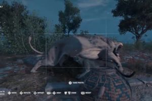ASSASSINS CREED ODYSSEY - ALL ANIMAL FIGHTS - PART 2!!!!