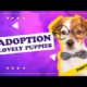 Adopt, Don't Shop | Meet the Cutest Puppies Ready for Adoption! | #puppy #dog