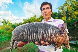 Amazon Jungle Catch and Cook!! Exotic Rainforest Meats!!