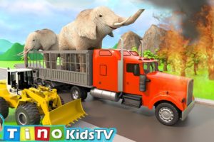 Animal Rescue Trucks for Kids | Elephant Zoo Construction