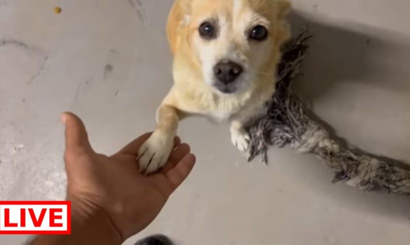 Anna is enjoying it here - Takis Shelter