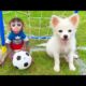 Baby Monkey Chu Chu Plays Soccer And Eats Ice Cream With Puppy In Swimming Pool