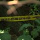 Baby found dead in woods near Major Deegan Expressway