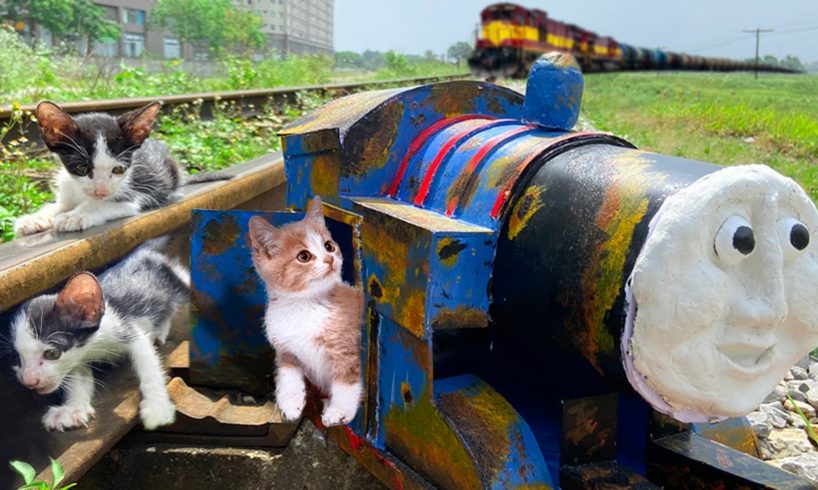 Before And After Rescue Homeless Kittens By The Train Tracks And Design Pink Stations For Kittens