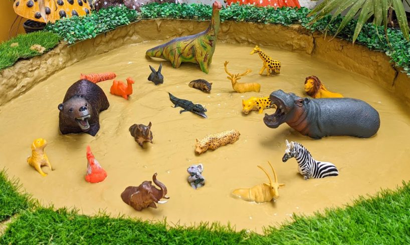 Big Mouth Hippopotamus Black Bear Brachiosaurus Jungle Animals Zoo Animals Stuck in Mud