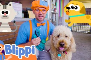 Blippi Cares For Pets At The Animal Shelter! | Fun and Educational Videos for Kids