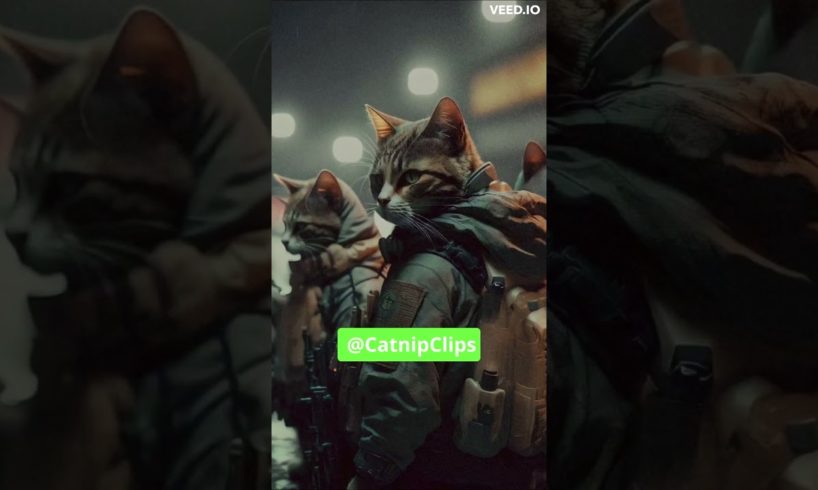 Cat of Duty: Feline Warriors in Art | The Cutest Kitten Combat! #shorts #cat #viral #funnycats