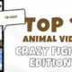 Crazy animal fights 😲