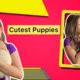 Cutest Puppies 🥺 But Mummy Ne Mana Kar Diya