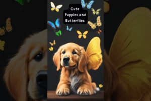 Dogs: 15 fun facts about puppies playing with butterflies. #dog #puppy #shorts