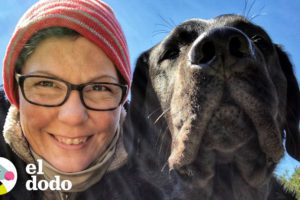 Este perro le devolvió la vida a su mamá | Almas Gemelas | El Dodo