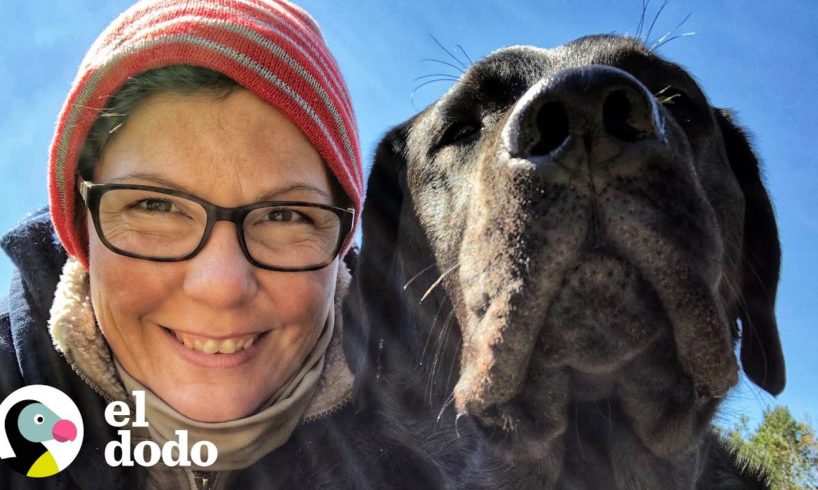 Este perro le devolvió la vida a su mamá | Almas Gemelas | El Dodo