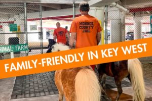FAMILY-FRIENDLY IN KEY WEST: Inmates Care for the Rescue Animals on this Farm in Key West