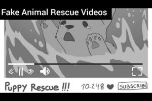 Fake Animal Rescue Videos | SAD COMICS TO RAISE AWARENESS BY JENNY-JINYA