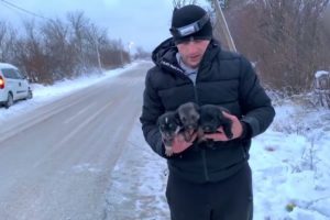 Follow the rescue team to rescue the poor puppy family abandoned in the cold weather