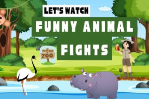 Funny Animal Fights | Hilarious Animal Fights: Wild Encounters, Epic Bloopers, Unforgettable Brawls!