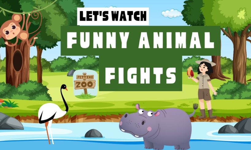 Funny Animal Fights | Hilarious Animal Fights: Wild Encounters, Epic Bloopers, Unforgettable Brawls!