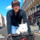 Gato sordo le encanta pasear por Londres con su papá | Cat Crazy | El Dodo
