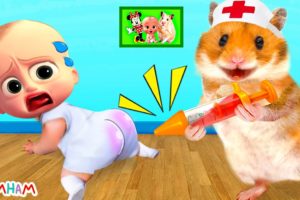 Good Hamster Doctor Take Care Of Naughty Baby Boss | Funny animals | Life Of Pets Hamham