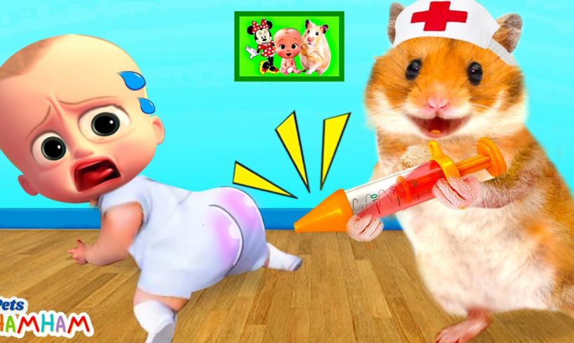 Good Hamster Doctor Take Care Of Naughty Baby Boss | Funny animals | Life Of Pets Hamham